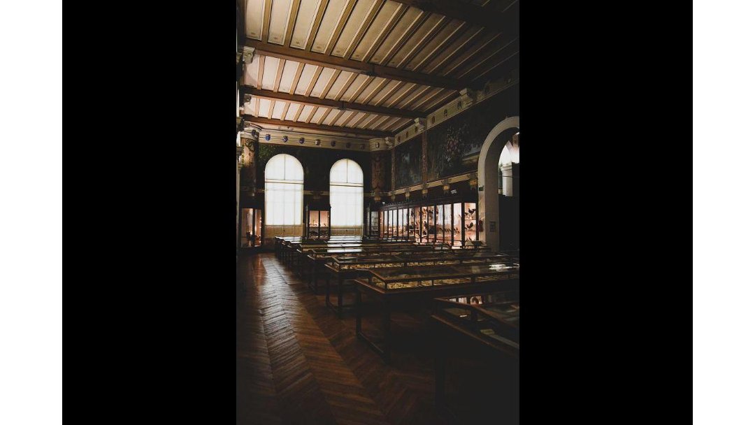 Muséum d'Histoire Naturelle, Marseille 4e