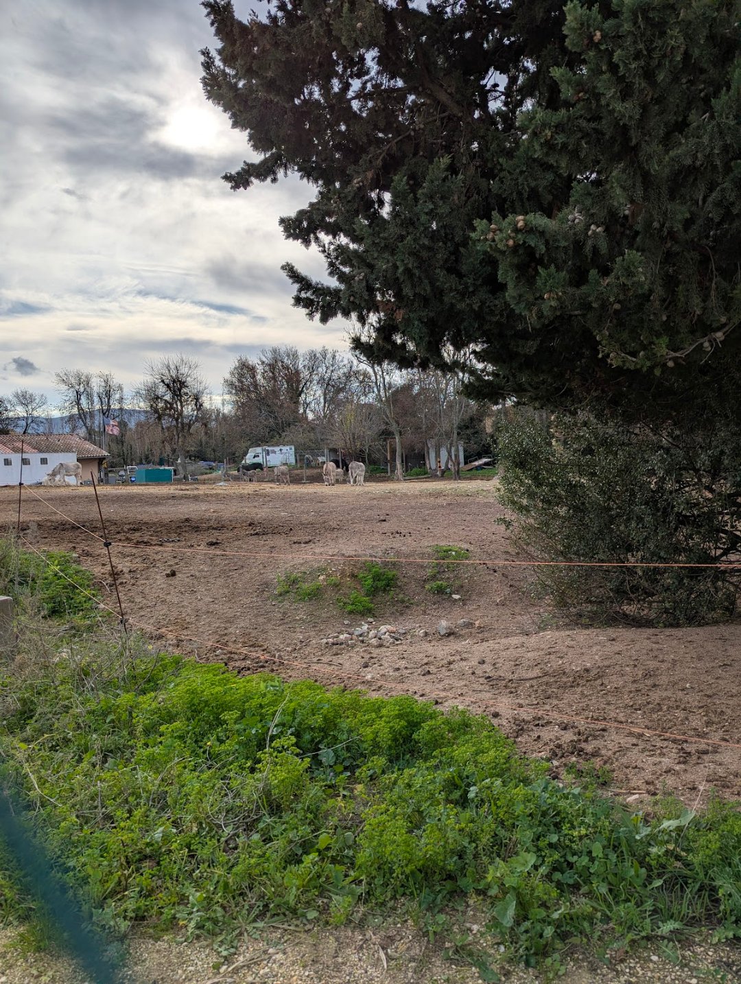 Tennis-Club de Château-Gombert, Marseille 13e